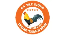 GÀ TRE THANH BÌNH