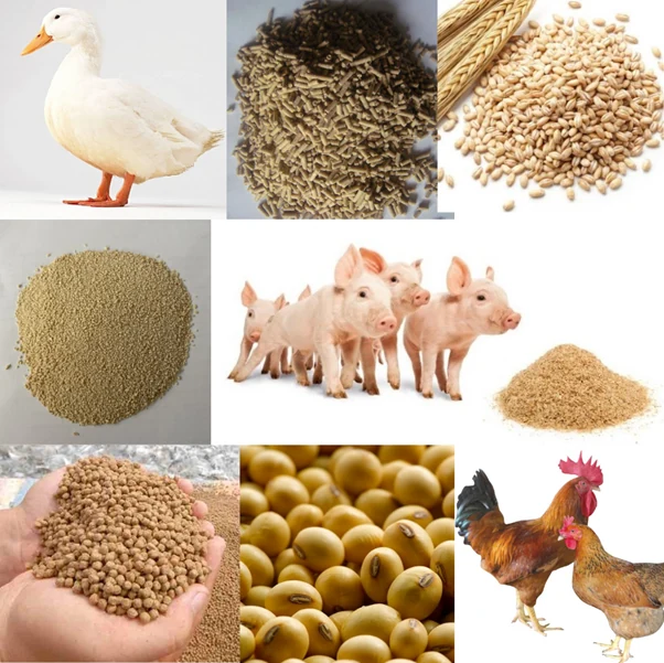 DEVELOPMENT PROSPECTS OF VIETNAM ANIMAL FEED MARKET